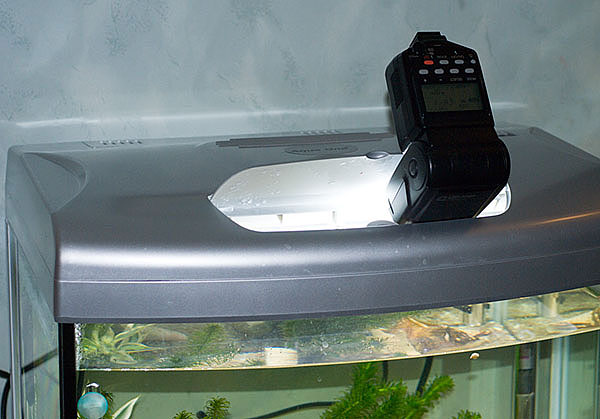 3600 Flash positioned on aquarium