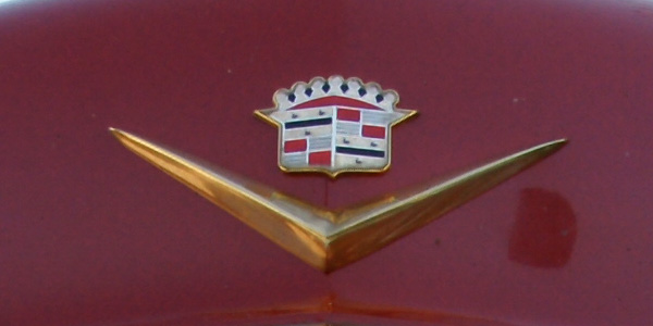 Car hood badge detail